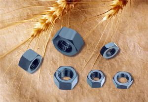 hex nut